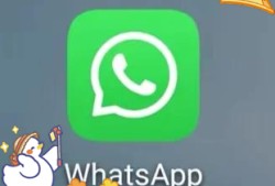 网页whatsapp使用指南与多设备沟通技巧全解析