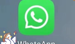 网页whatsapp使用指南与多设备沟通技巧全解析