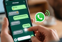 安全完成whatsapp下载前需要了解的关键事项和常见问题