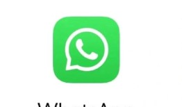 WhatsApp一个灰色的勾代表什么以及如何判断消息是否送达