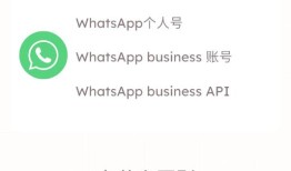 WhatsApp广告投放技巧助力企业实现高效获客与持续增长