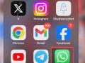 手机whatsapp日常沟通与隐私保护的实用指南与注意事项