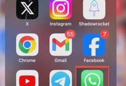 手机whatsapp日常沟通与隐私保护的实用指南与注意事项