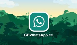 怎么加美国whatsapp并顺利建立联系的操作指南