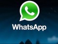 全面解析whatsapp客服在跨境业务中的高效应用