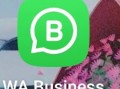完整指南教你如何 update my whatsapp 并解决常见更新问题