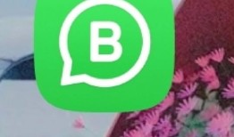 完整指南教你如何 update my whatsapp 并解决常见更新问题