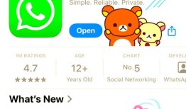 全面解析 android for whatsapp 安卓版下载安装与使用技巧