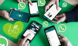 通过 chat.whatsapp.com 创建和分享 WhatsApp 群组邀请链接的完整指南