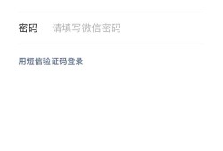 whatsapp永久免费的吗全面解析个人版与商业版收费规则