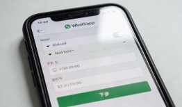 高效使用whatsapp群聊提升团队沟通与协作效率的实用方法
