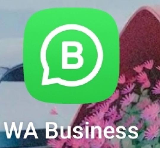 完整指南教你如何 update my whatsapp 并解决常见更新问题