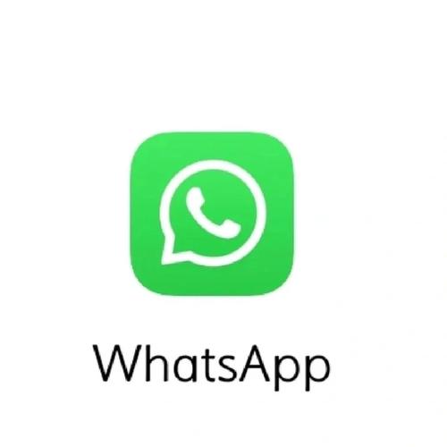 WhatsApp一个灰色的勾代表什么以及如何判断消息是否送达