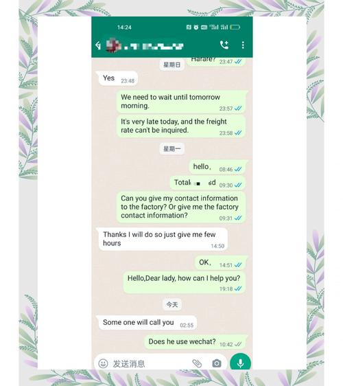 全面认识 whatsapp 加密功能与隐私保护实践
