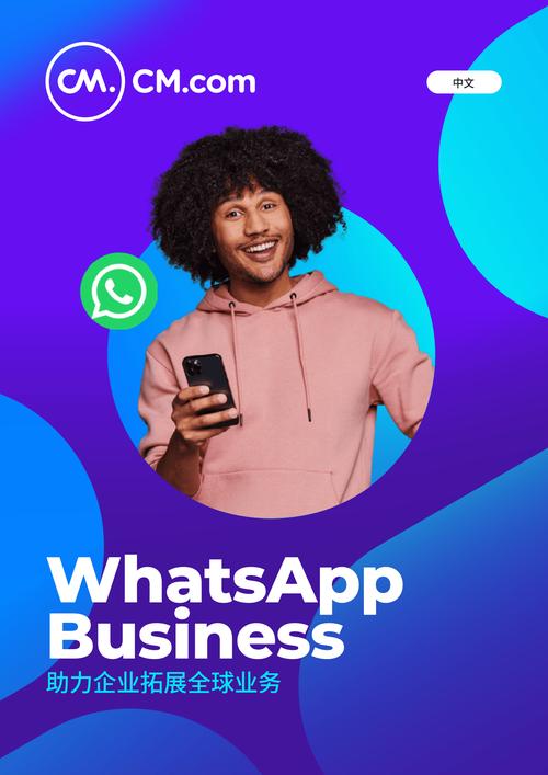 WhatsApp估值变迁解析:从天价收购到社交生态长期价值 WhatsApp估值变迁解析:从天价收购到社交生态长期价值
