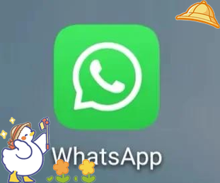 网页whatsapp使用指南与多设备沟通技巧全解析