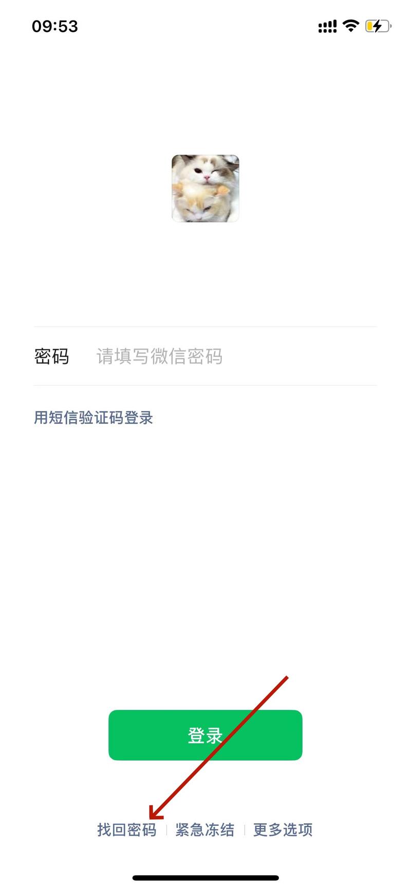 whatsapp永久免费的吗全面解析个人版与商业版收费规则 whatsapp永久免费的吗全面解析个人版与商业版收费规则