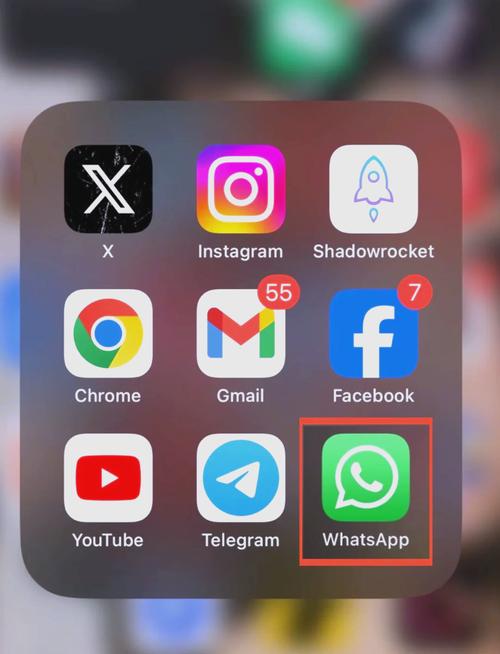 手机whatsapp日常沟通与隐私保护的实用指南与注意事项 手机whatsapp日常沟通与隐私保护的实用指南与注意事项